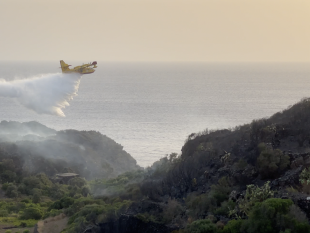 pantelleria-vasto-incendio-ha-colpito-scauri-basso-e-sciuvecchi