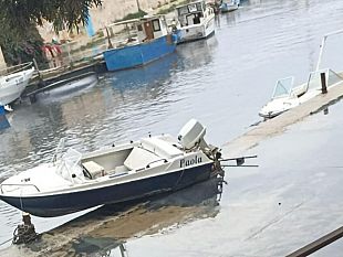 mazara-il-fenomeno-del-marrobbio-colpisce-ancora
