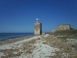 giornata-mondiale-delle-zone-umide