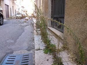 mazara-discerbatura-di-strade-e-piazze-grazie-al-lavoro-di-ex-detenuti-e-disoccupati