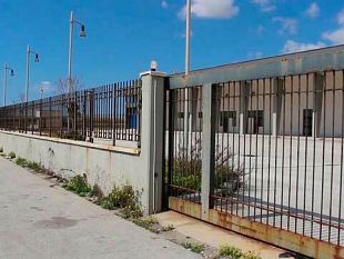 video-il-mercato-ittico-a-mazara-una-cattedrale-nel-deserto