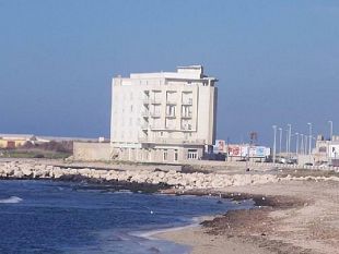 alga-tossica-divieto-di-balneazione-dietro-il-cavallino-bianco