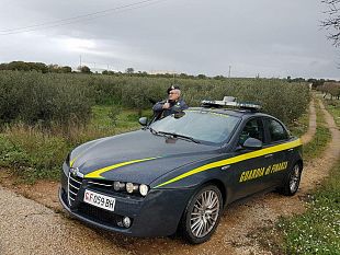 lavoro-agricolo-stagionale-individuati-13-lavoratori-in-nero-beneficiari-di-reddito-di-cittadinanza