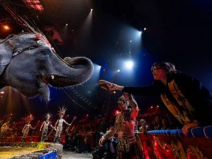 circo-a-marsala-nellarea-attrezzata-dello-stadio-momentaneamente-trasferito-il-mercatino-settimanale