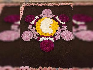 scandalo-aborto-su-facebook-autogol-del-comune-di-trapani