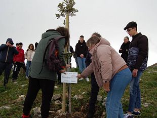 alberi-di-carrubo-in-ricordo-di-aldo-e-gianluca