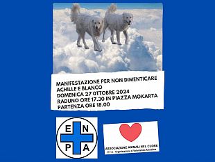 mazara-domenica-27-ottobre-manifestazione-per-achille-e-blanco-i-due-cani-di-quartiere-barbaramente-uccisi