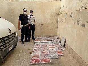 mazara/operazione-contro-commercio-abusivo-di-pesce-in-piazzetta-dello-scalo