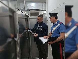 controlli-dei-carabinieri-del-nas-in-tutta-la-provincia-sequestrati-52-600-kg-di-aglio-rosso-e-chiusa-una-palestra