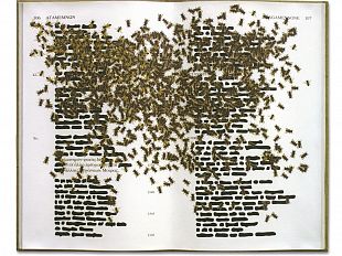 orestiadi-spettacolo-dell11-luglio-anticipato-al-tramonto-per-finale-europei