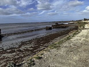 rinvenuto-un-cadavere-sulla-spiaggia-di-torrazza-a-petrosino