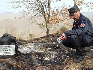 trapani/incendi-boschivi-nella-provincia-di-trapani-individuati-e-arrestati-gli-autori-di-3-episodi