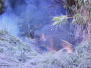 nuovo-incendio-nella-pre-riserva-del-belice-a-marinella-di-selinunte