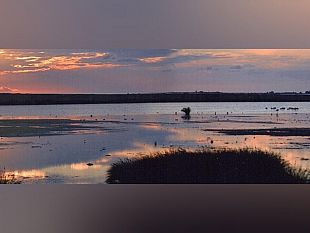 laguna-di-tonnarella-corrao-greens-cittadini-di-mazara-preoccupati-sindaco-fornisca-carte-e-ascolti-associazioni