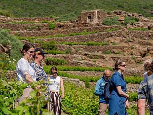 pantelleria-doc-ha-accolto-i-master-of-wine