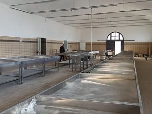 mercato-ittico-ultimi-giorni-per-partecipare-allassegnazione-di-posteggi