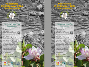 terza-edizione-del-cappero-fest-a-pantelleria-un-omaggio-alla-tradizione-e-alla-gastronomia-locale