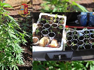 marsala/contrasto-allo-spaccio-di-stupefacenti-arrestato-marsalese