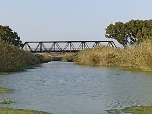 rotary-club-progetto-adotta-loro-blu-della-foce-del-fiume-belice