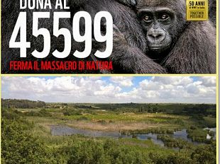 festa-delle-oasi-wwf-riserva-naturale-lago-preola-e-gorghi-tondi-e-gara-di-solidarieta