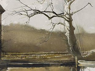 ultime-della-sera-il-virus-visto-da-dentro