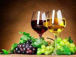 marsala-assoenologi-sicilia-programmate-le-attivita-per-il-2015