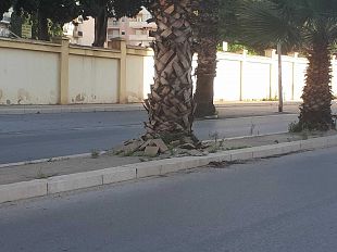 trapani-diventera-bellissima-chiede-il-ripristino-dei-marciapiedi-di-corso-p-mattarella