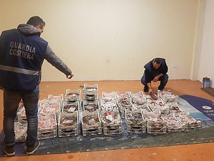 trapani-sequestrati-250-kg-di-pesce