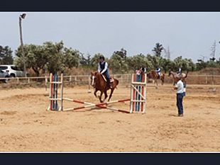 successo-per-la-3-tappa-regionale-di-gimkana-per-il-maneggio-il-grillo