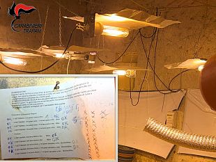 coltivazione-di-droga-furto-di-energia-e-spari-due-arresti-a-marsala