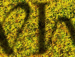 dopo-oltre-ventanni-si-puo-entrare-di-nuovo-nel-tempio-di-segesta