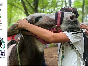 pantelleria-ad-ottobre-la-prima-edizione-del-festival-dedicato-allasino-pantesco