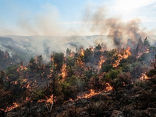 incendi-anci-sicilia-serve-una-strategia-regionale-piu-forte-sulla-prevenzione-e-la-tutela-dei-territori
