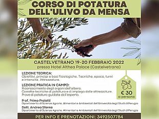 a-castelvetrano-un-corso-per-la-potatura-degli-ulivi