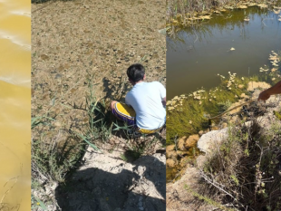 mazaragli-studenti-deliiss-r-daltavilla-a-capo-feto-per-il-progetto-il-nostro-mare