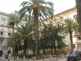 trapani-ennesima-rissa-in-centro-storico