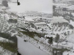 ultime-della-sera-15-gennaio-1968