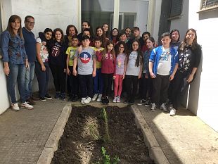 non-ti-scordar-di-me-operazione-scuole-pulite-2018-al-plesso-medi-dellic-radice-pappalardo