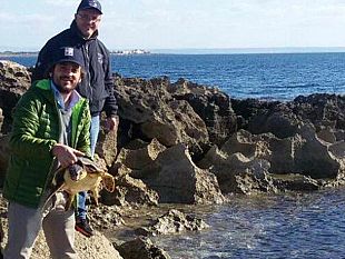 curata-e-rilasciata-in-mare-tanina-prima-ospite-d-inverno-del-centro-di-primo-soccorso-per-tartarughe-marine-dell-area-marina-protetta-isole-egadi