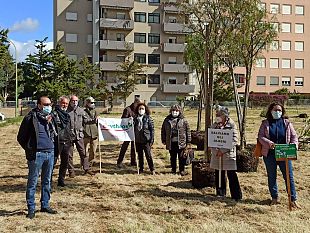 trapani-vuole-diventare-green-nuovi-parchi-in-arrivo-in-citta