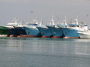 mazara-sindaco-quinci-e-presidente-gancitano-dal-sindaco-di-lampedusa-martello-accuse-generiche-e-non-meritate-nei-confronti-della-nostra-marineria