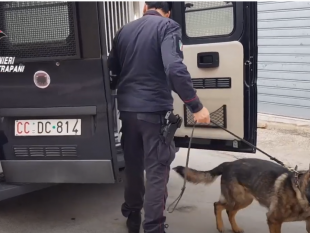 trapani/trapani-le-immagini-del-blitz-la-famiglia-deteneva-droga-e-animali-protetti