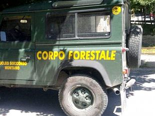 concorso-forestale-sicilia-stop-del-tar-allesclusione-del-candidato-senza-esami-approfonditi