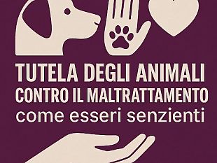 il-monito-del-sindaco-lentini-gli-animali-si-rispettano