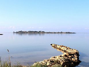 salvaguardia-della-laguna-dello-stagnone-il-pd-proteggiamo-il-nostro-ecosistema