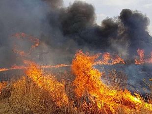 incendio-nella-periferia-sud-di-marsala-fiamme-vicino-al-kartodromo-e-alle-abitazioni