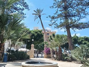 palma-pericolante-a-villa-cavallotti-laccesso-fruibile-da-via-cesare-battisti