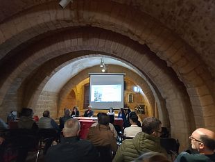 incontro-pubblico-sulle-comunita-energetiche-rinnovabili-cer-a-partanna