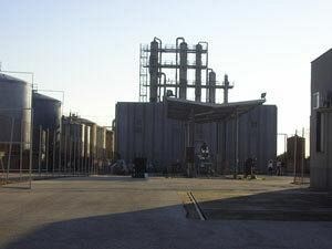 odori-nauseabondi-ancora-la-bertolino