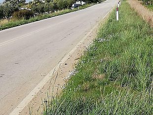 lanas-non-ce-e-andata-via